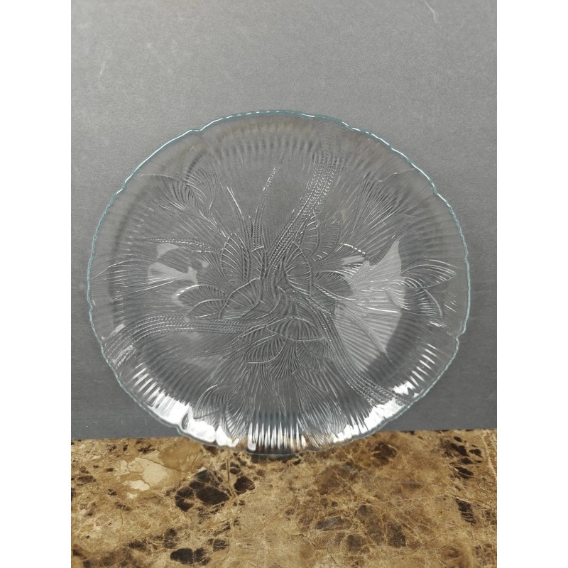 Arcoroc Set Of 4 Arcoroc Canterbury Dinner Plates Floral Clear