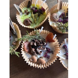 Handmade Wax Fire Starters | Campfire, Fireplace, Wood Stove | 6 Pack