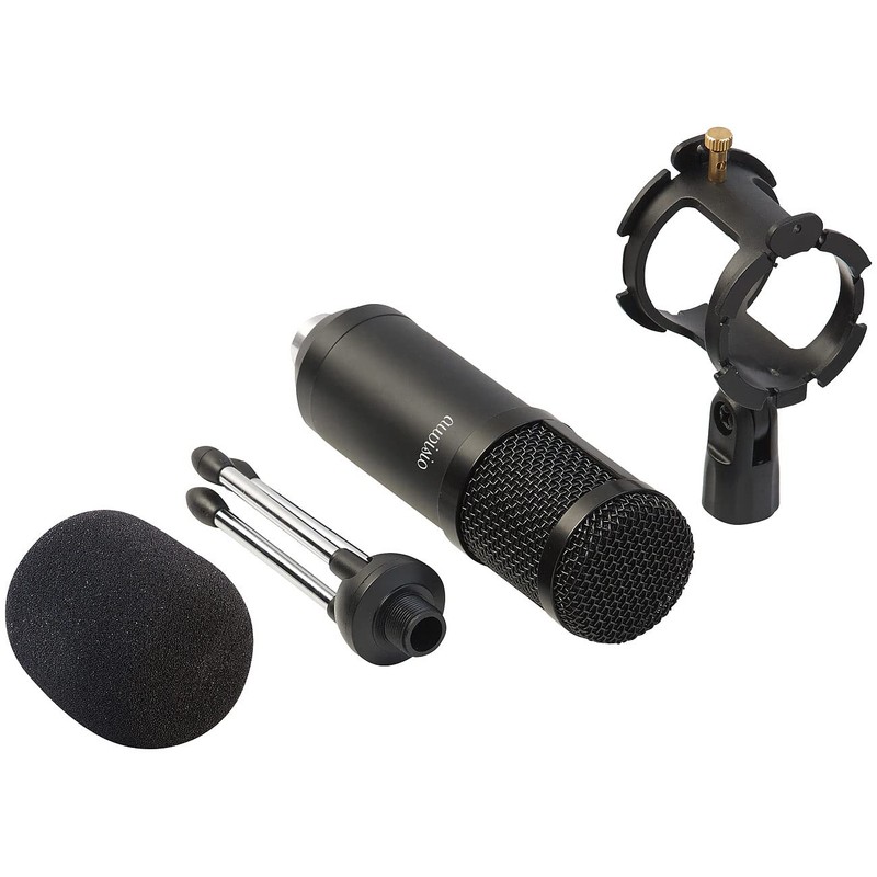 auvisio Microphone: Set of 2 Professional USB Condenser Microphones, High-Performance,