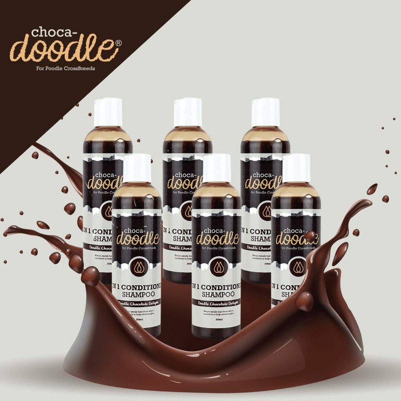 Choca-Doodle 2 in 1 Conditioning Shampoo, 250ml Six Pack