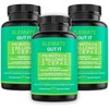 Gut it Probiotic Suplemento Natural Probióticos, Prebióticos, Enzimas Digestivas, Citrato