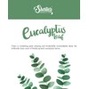Shortie's Candle Company Eucalyptus Leaf Wax Melts - Formula 117-1