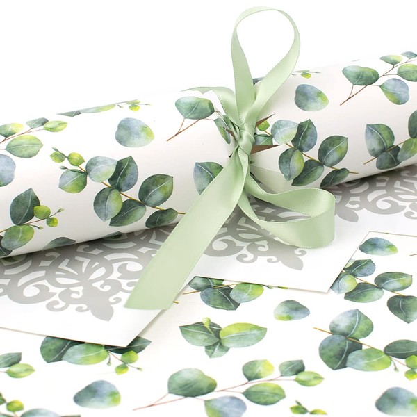 12 Watercolour Eucalyptus Cracker Making Craft Kit - Make &