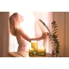 Chesapeake Bay Candle Scented Candle, Awaken + Invigorate (Lemongrass Eucalyptus),