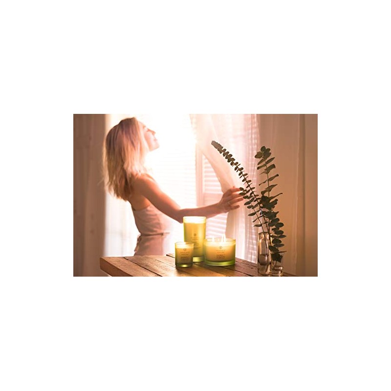 Chesapeake Bay Candle Scented Candle, Awaken + Invigorate (Lemongrass Eucalyptus),