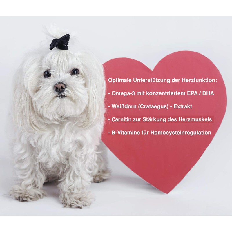 CaniMove Cardio Maxi Double Pack (200 Capsules) - Effective Support