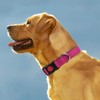 Reflective Nylon Dog Collar with Safety Buckle, Adjustable Pet Collars
