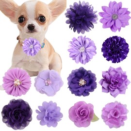 Lopsity 12PCS Pet Collar Flower Bow Collar Detachable Flower Embellishment for Cats Dogs, Pets Supplies for Wedding/Birthday Party (Purple)