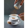 aerolatte CA2TIN Cappuccino Art Stencils, Set of 6 - Transparent