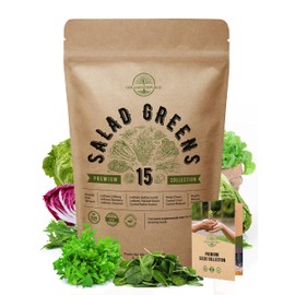 15 Lettuce & Salad Greens Seeds Variety Pack 7500+ Non-GMO Heirloom Lettuce Seeds for Planting Indoors & Outdoors Garden, Hydroponics, Aerogarden - Arugula, Kale, Spinach, Swiss Chard, Lettuce & More