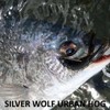 Daiwa Silver Wolf Urban Hog 2.9 Grippan Chart for Chinu