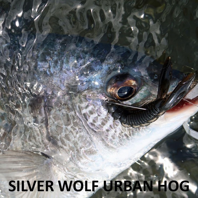 Daiwa Silver Wolf Urban Hog 2.9 Grippan Chart for Chinu
