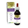 Fennel (Foeniculum vulgare) Fruits Alcohol-Free Mother Tincture Naturalma Liquid Extract