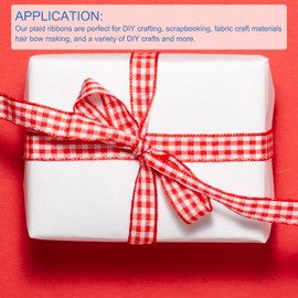 DMiotech 3/8 Inch 10 Yards Gingham Ribbon, Checkered Ribbon Plaid Ribbon for Gift Wrapping Decoration Art Craft DIY, Apple Green