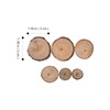 Ciieeo 100pcs 1-3CM Wood Log Slice Discs Unfinished Wooden Circles