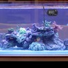 DIGIFLEX Digitales LCD Wasser Thermometer für Aquarium