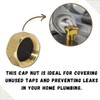 Invero® End of Line Tap Compression Blanking Cover Cap Nut