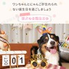 [OKAWASI] パーティーメガネ 誕生日メガネ 2個セット HAPPY BIRTHDAY 写真小道具 目飾り 眼鏡 パーティーグッズ