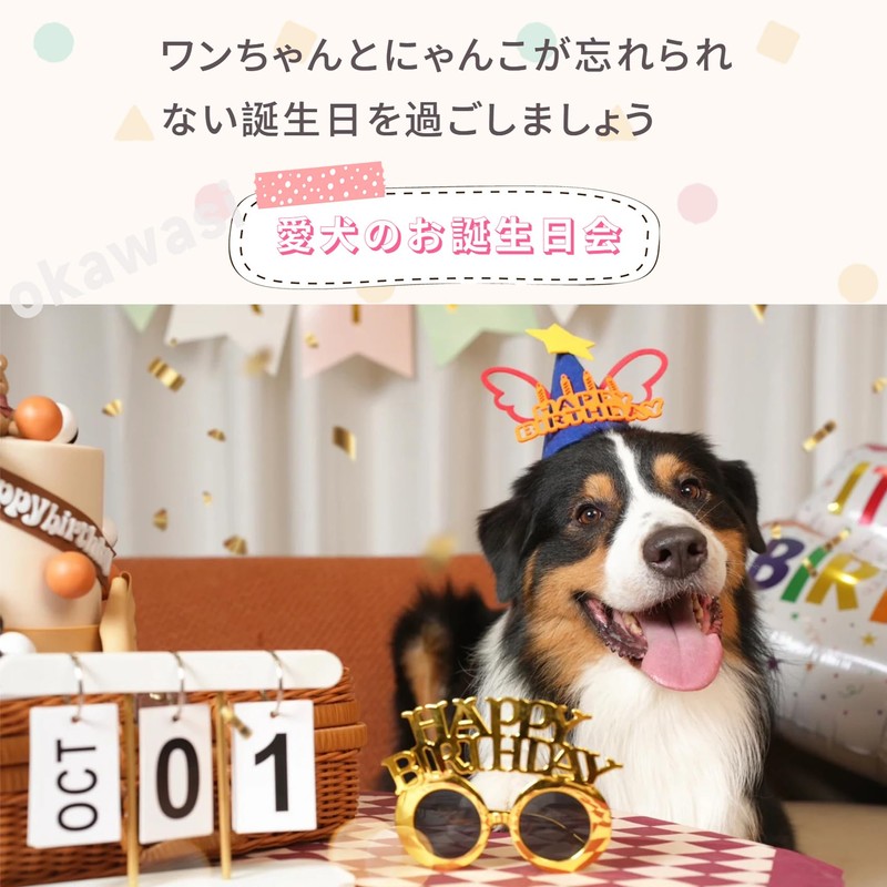 [OKAWASI] パーティーメガネ 誕生日メガネ 2個セット HAPPY BIRTHDAY 写真小道具 目飾り 眼鏡 パーティーグッズ