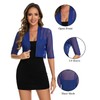 MINTLIMIT Women's Blue Mesh Cardigan 3/4 Sleeves Short Sheer Shrugs
