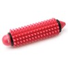 Yogistar Mini Massage Roller Red M