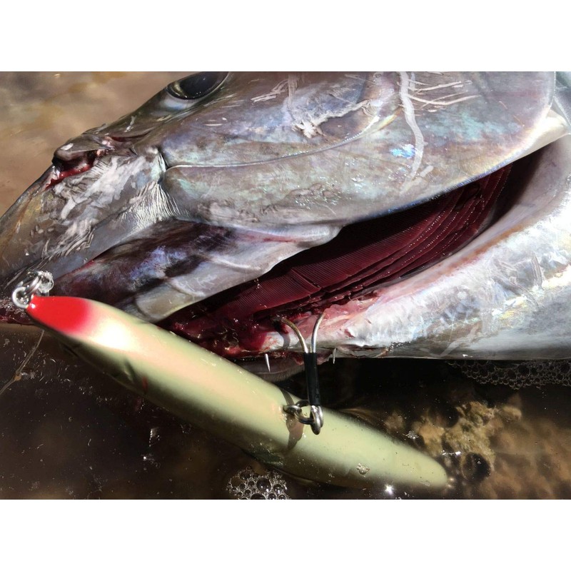Gamakatsu TGW Treble Hook, Rose, Twin, SP-MH, Silver