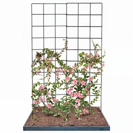 IDZO 2-Panel Folding Trellis, Basic Metal Decoration Trellis for Climbing Plants Outdoor, Tall Metal Plant Trellis with Steel Frame, Panel Trellis Garden Lattice for Vines & Vegetables