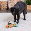 SmartyKat Instincts Crazy Coil Spring Fringe Cat Toy - Orange,