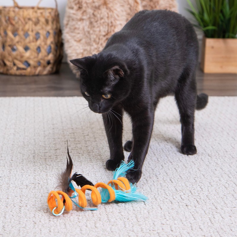 SmartyKat Instincts Crazy Coil Spring Fringe Cat Toy - Orange,