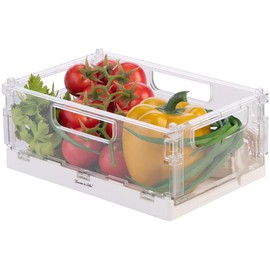 Rosenstein & Söhne Folding Box Set: Set of 16 Foldable Fridge Organisers, Transparent, 22.5 x 15 x 9 cm (Food Storage Box, Organization Boxes)