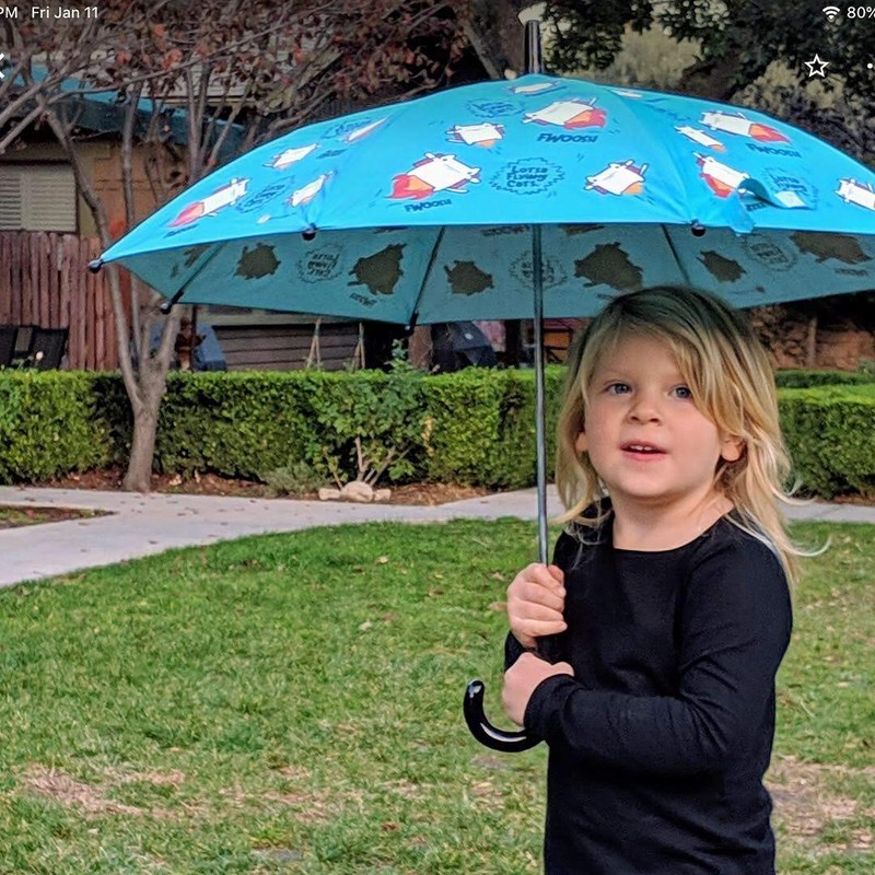 FWOOSH™ The Flying Cat's Color-Changing Kid Umbrella (Ocean Green)