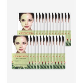 Dermapix Perfect Real Performance Cica Collagen Mask 24 Sheets