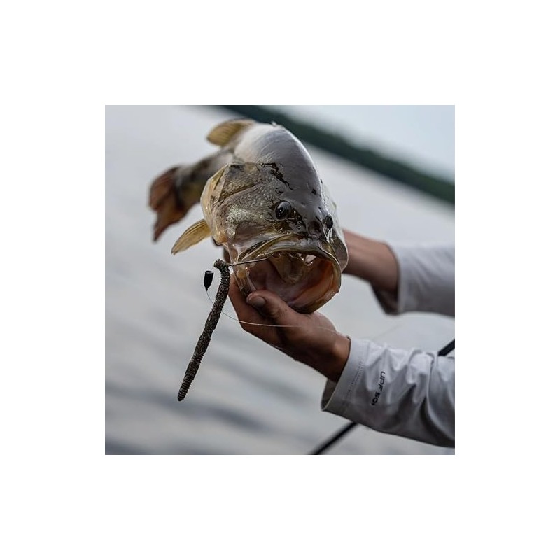 Gold Miner 30 by Rapala