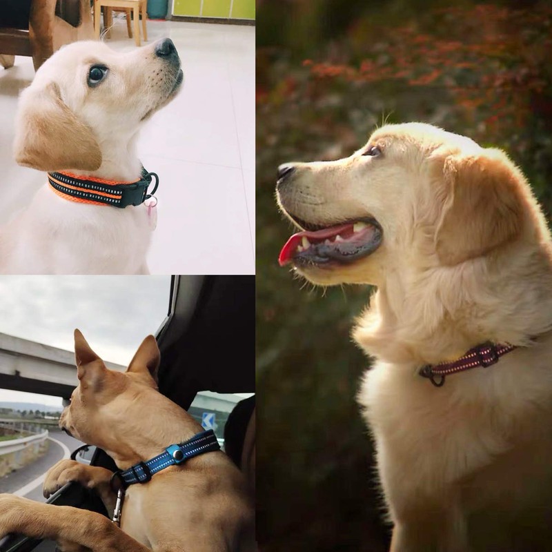 Kaka Mall Adjustable, Breathable, Reflective Nylon Dog Collar