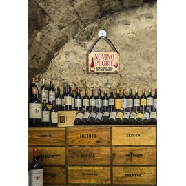schilderkreis24 Tin Sign Funny Saying "Novino Phobie" Decorative Sign Metal Sign Gift Idea Retro Funny Gift for Birthday Christmas Wine Cellar Wine Bar Wine Arbour 18 x 12 cm