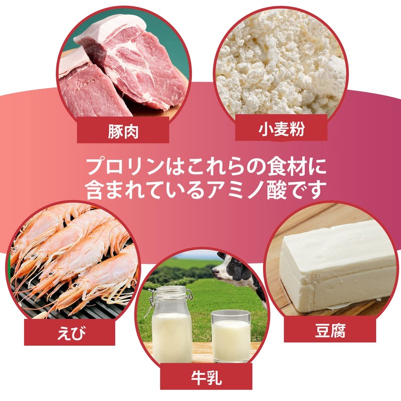 L-プロリン 100ｇ アミノ酸 計量スプーン付