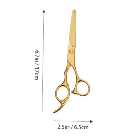 Baluue Professional 6-Inch Stainless Steel Hairdressing Scissors Set 2 Pcs Hair Trimming and Thinning Scissors for Salon and Home Use