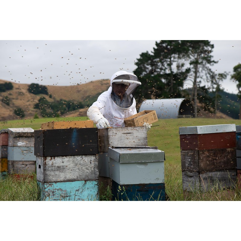 Manuka Honey UMF 5+ (MGO 83+) Pure New Zealand Honey,