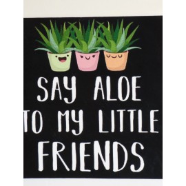 TT SAY ALOE TO MY LITTLE FRIENDS Succulent Cactus Bumper Sticker Window Decal 4"x4"