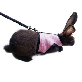 Hypeety Rabbit Kitten Harness Cat Leash for Small Animal Adjustable Soft Harness and Lead Set for Bunny Cat Little Pet Walking (S:Chest(5.91"-7.87"), Pink)