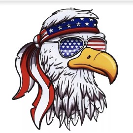 10x American Eagle Patriotic Sunglasses Sticker Decal American Flag Truck