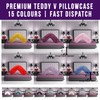 Fleece Pillowcase V Shaped Cover Only Teddy Cuddles Fleece Super