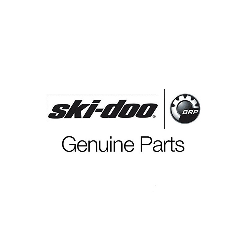Ski-Doo Radiator Cap, 509000180 - Metal, Natural, Compatible with Snowmobile