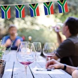 32FT Small South Africa Pennant Flag Bunting,30 PCS Mini String Banner Stripes South African Decor Rectangle for Holiday Restaurant Home Party School