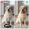 Dog Bark Collar Replacement Strap, Shock Collar for Dogs Replacement
