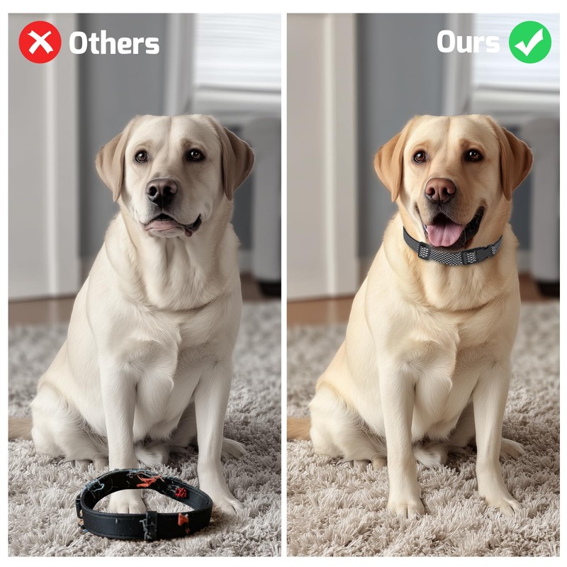 Dog Bark Collar Replacement Strap, Shock Collar for Dogs Replacement