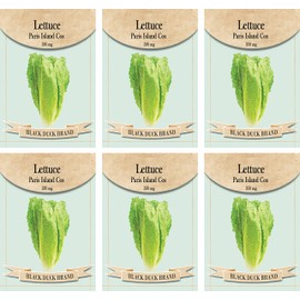 Set of 6 Vegetable Seed Packs - Create a Deluxe Garden - All Seeds are Heirloom - 100% Non-GMO (Lettuce Paris Island Cos)