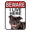 BEWARE I LIVE HERE METAL GATE SIGN STAFFORDSHIRE BULL TERRIER