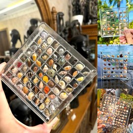 Vordpe 64 Compartments Acrylic Magnetic Seashell Display Box, Clear Shell Storage Box, Storage Box, Display Organiser, Acrylic Display Box for Shells, Diamonds, Gemstones