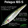 Jack Fin PELAGUS PELAGUS 165S Acciuga Lure Handmade Blue Tuna